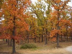 2nd image of 5495 SE Old Highway 13