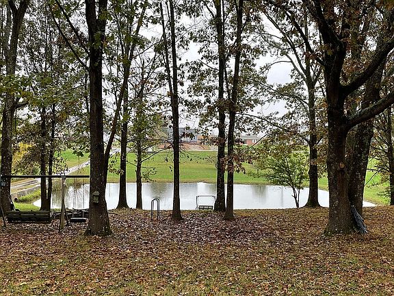 View From the Front Porch