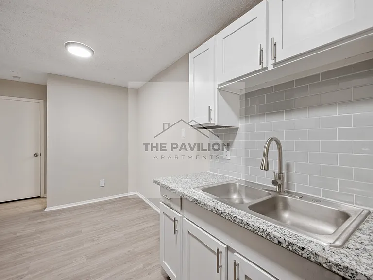 THE PAVILION APARTMENTS — Photo 15