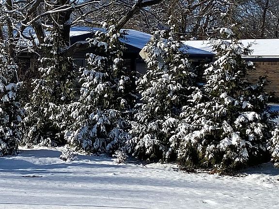 3rd image of 701 Columbia Ave