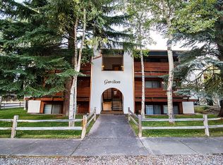 935 E Hopkins Ave #9, Aspen, CO 81611
