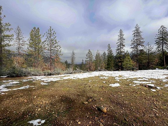 4th image of 167 S Ponderosa Pne