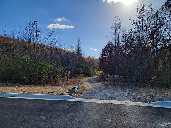 5th image of 62 Lake Creek Dr