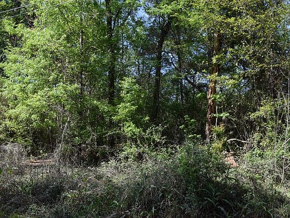 3rd image of Aydell Ln Lot 20