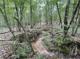 0 Antioch Rd, Hazlehurst, MS 39083