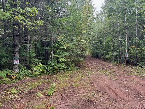 4th image of 40 acres on FR 1769
