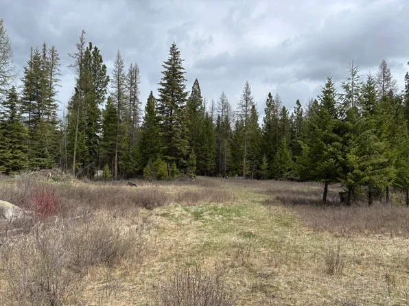 52 Haskill Ranch Rd Lot 3, Kila, MT 59920