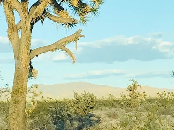 2565 S Jesse James Rd, Yucca, AZ 86438