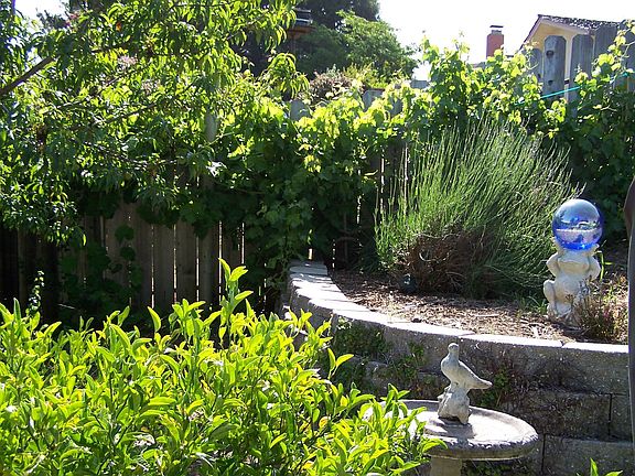 peach grapes lavender