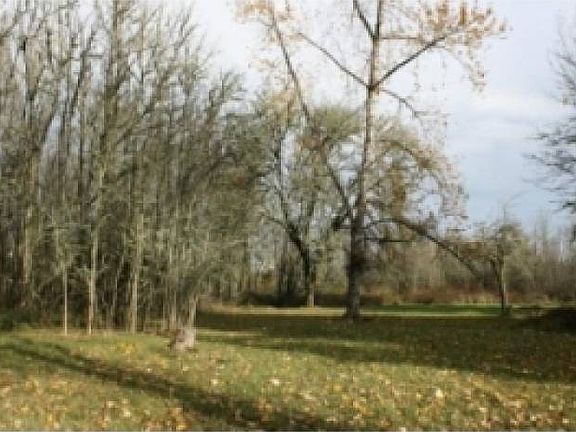 Woodland and Lawn
