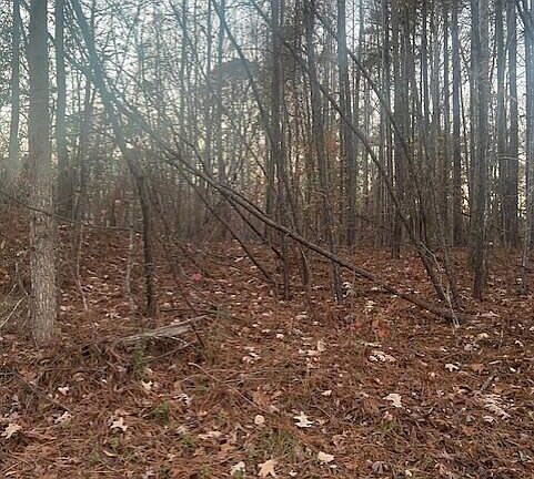 2nd image of 326 Shawnee Dr #740