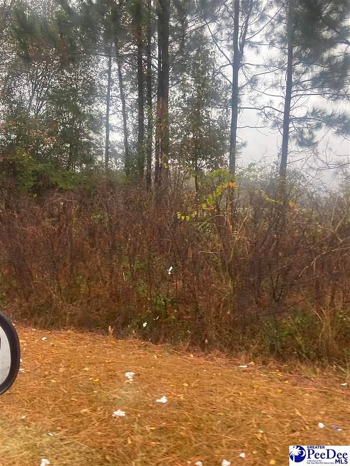 Mechanicsville Hwy, Darlington, SC 29540 MLS 20233818 Zillow