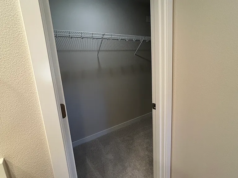 Primary walk-in closet