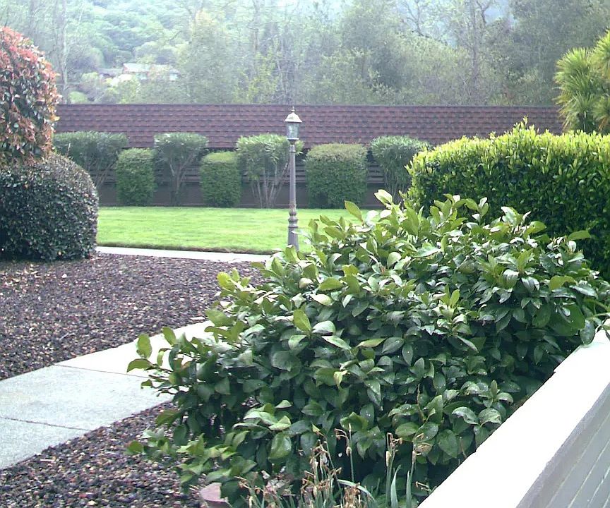 view from skylight bonus room