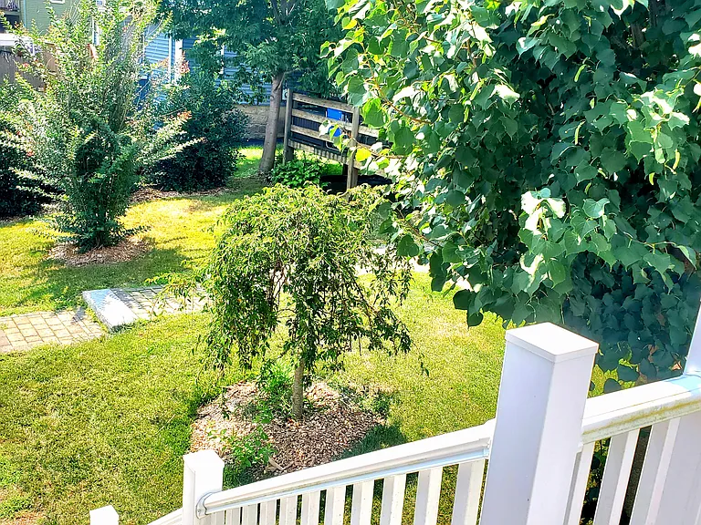 Garden view from private porch.