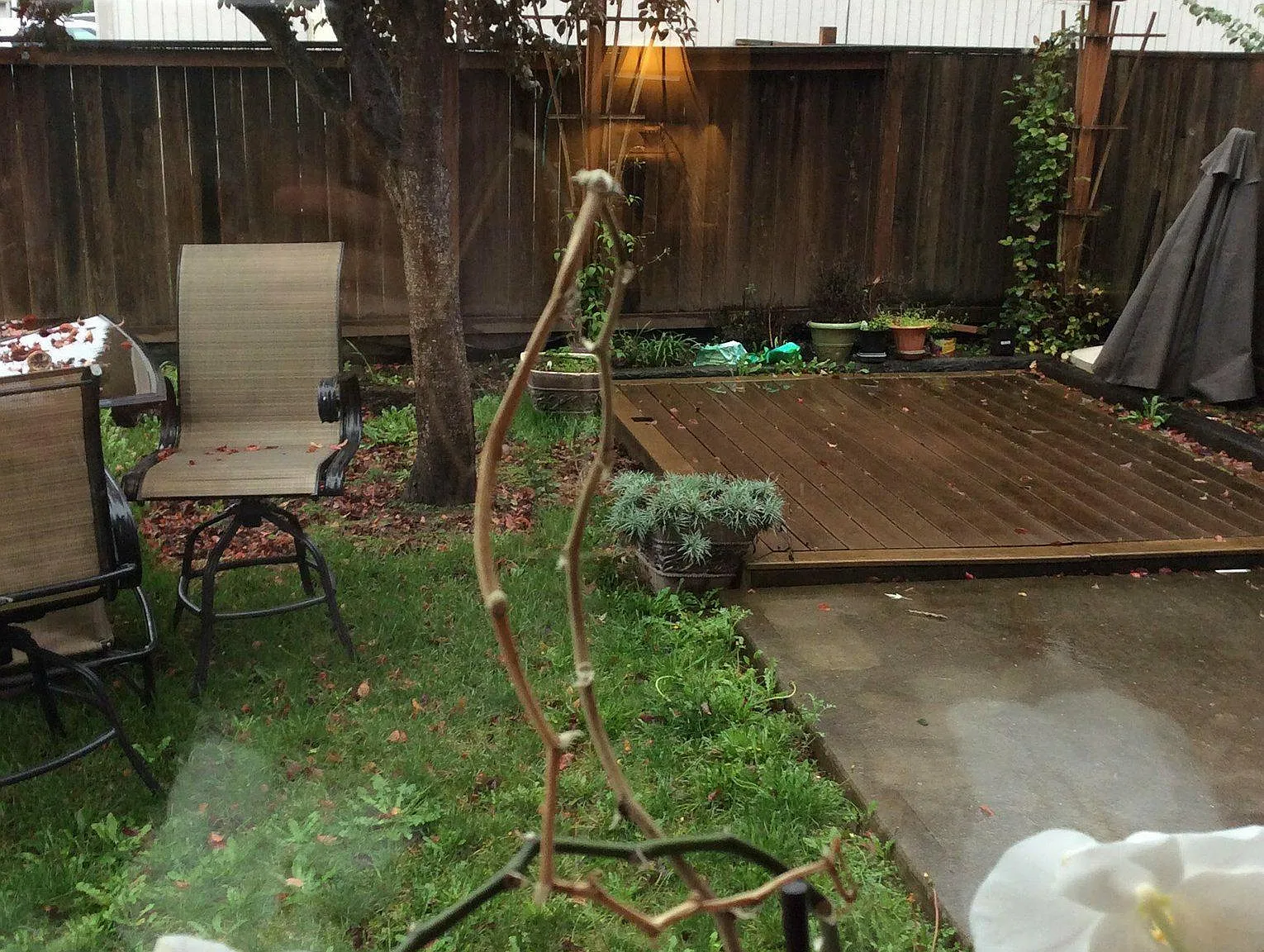 NE Birkshire Ct, Hillsboro — Photo 3