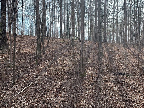 2nd image of 1385 Ridgewood Dr Lot 77