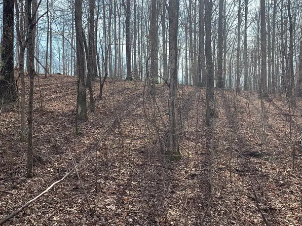 1385 Ridgewood Dr Lot 77, Mc Ewen, TN 37101
