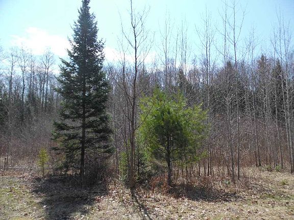 4th image of N18419 Woodland Ln
