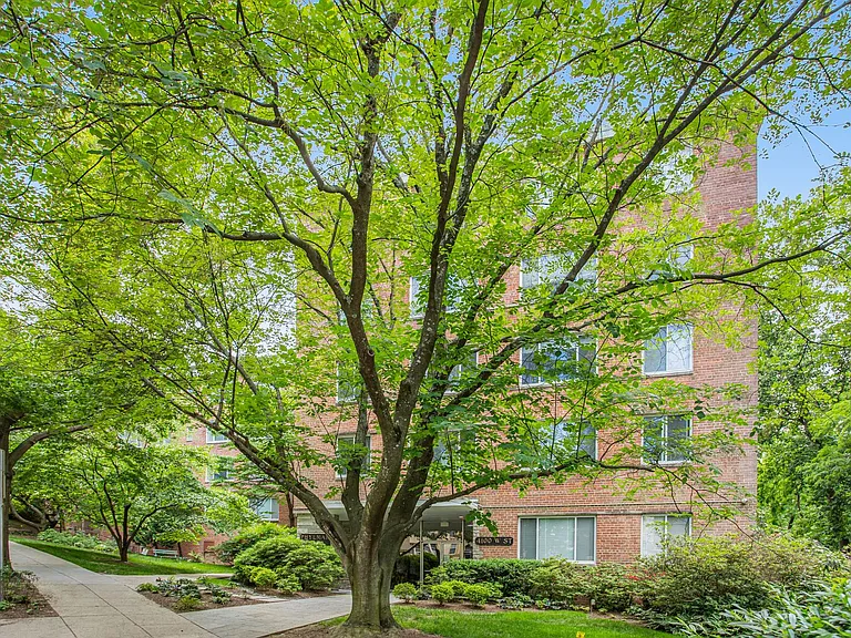 4100 W St NW #209 — Photo 34