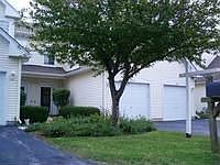2nd image of 405 Canterbury Ct