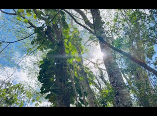 Plumeria Rd Lot 142, Pahoa, HI 96778