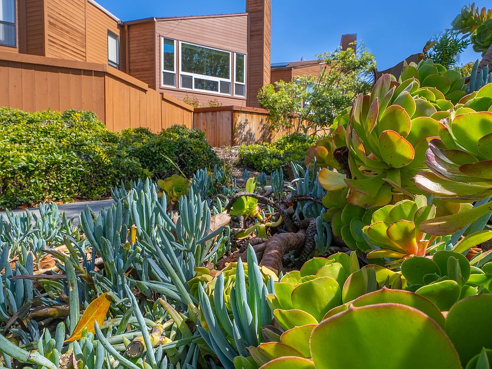 Rear of Property