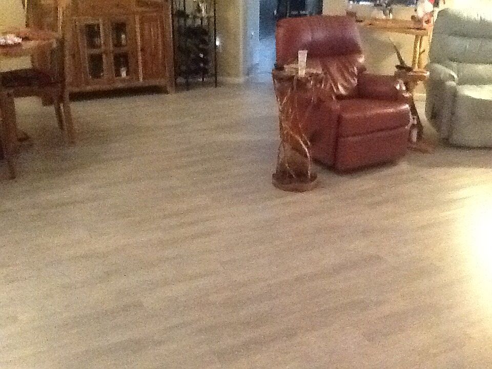 New vinyl plank in LR
