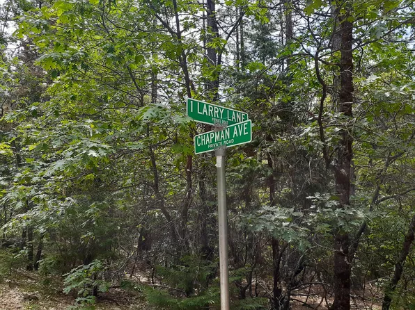 0 Chapman Ave, Shingletown, CA 96088