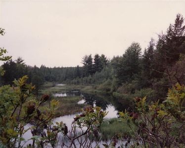W6866 Bannerman Junction Rd, Neshkoro, WI, 54960