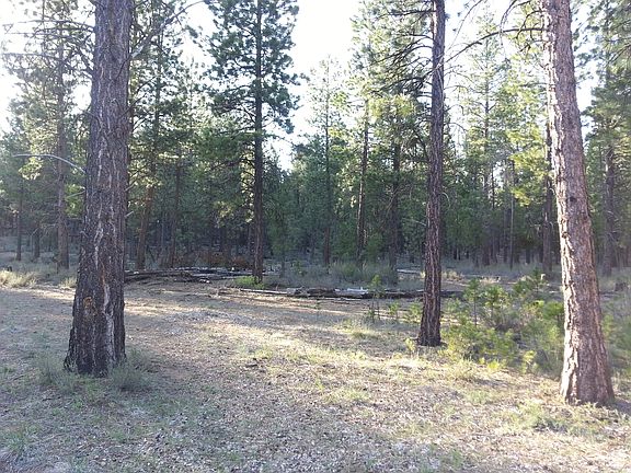 5th image of 5 Acres Backs Nat Frst #Land
