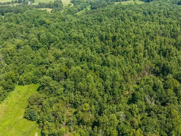 HUNTERS RIDGE LN, UNIONVILLE, VA 22567
