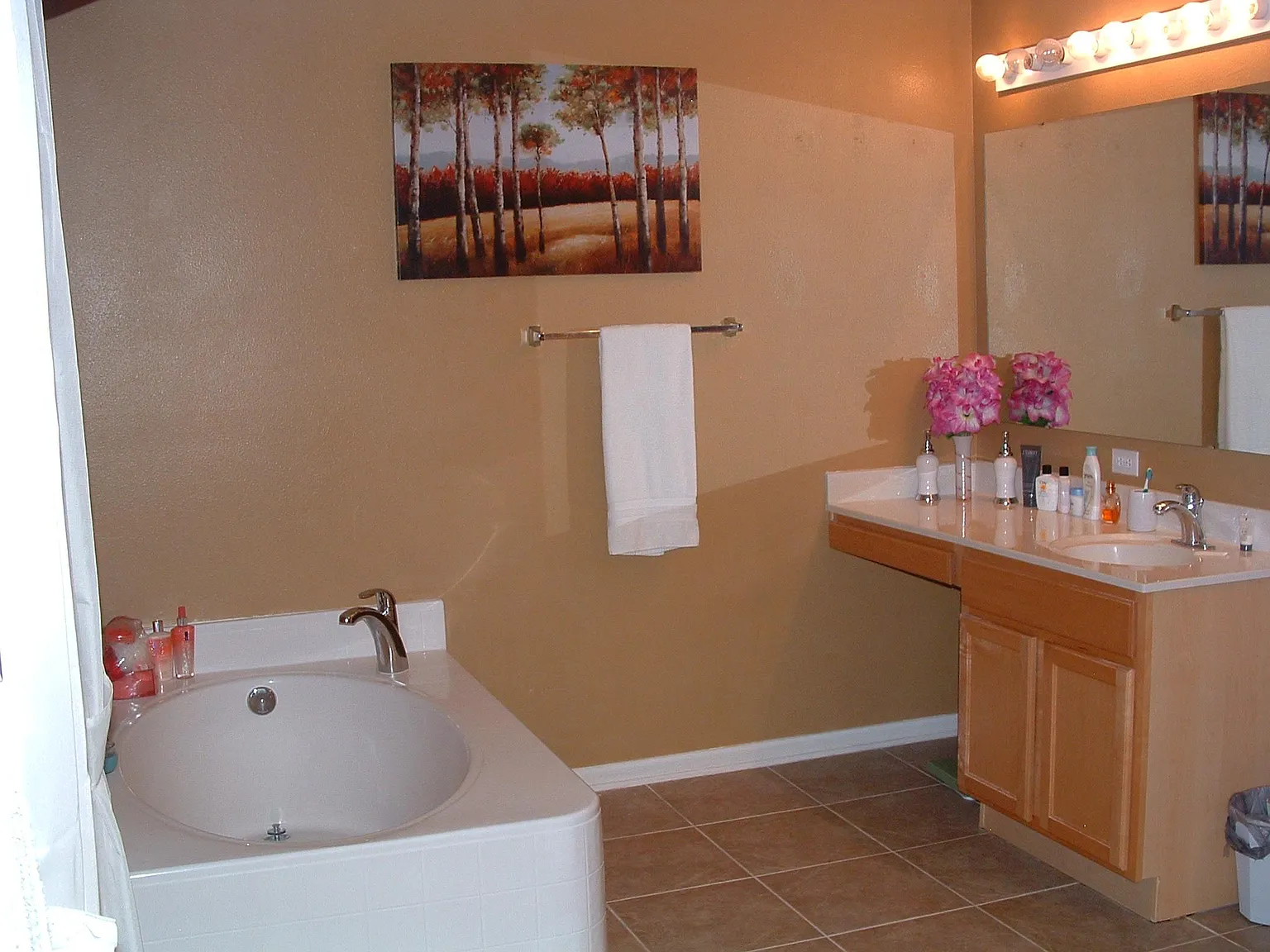 1049 Tawny Eagle Dr — Photo 2