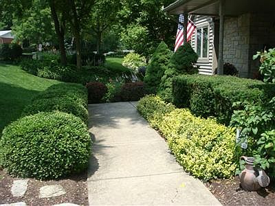 3rd image of 119 Crest Hill Ave