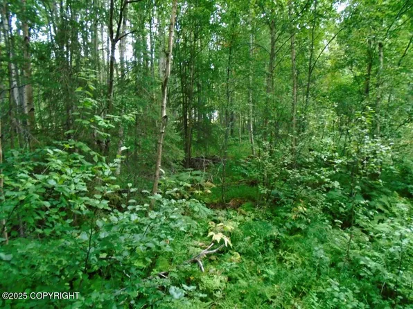 LOT 102 NW Loc Sault Ave, Anchorage, AK 99516