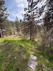 Carlisle Court Lots 11 #&-15, Kamiah, ID, 83536