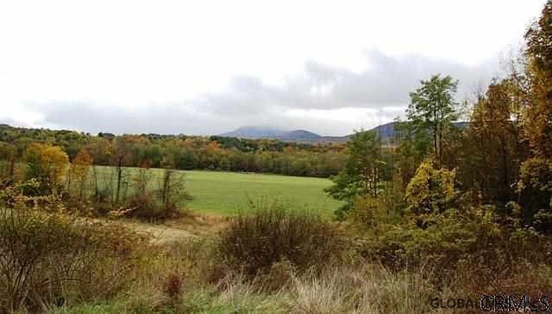 5th image of 115 GULF SCHOOLHOUSE Road