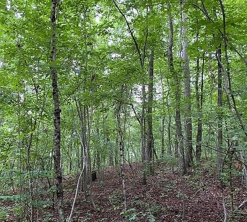 5th image of 27 Highway 134 Lot 27