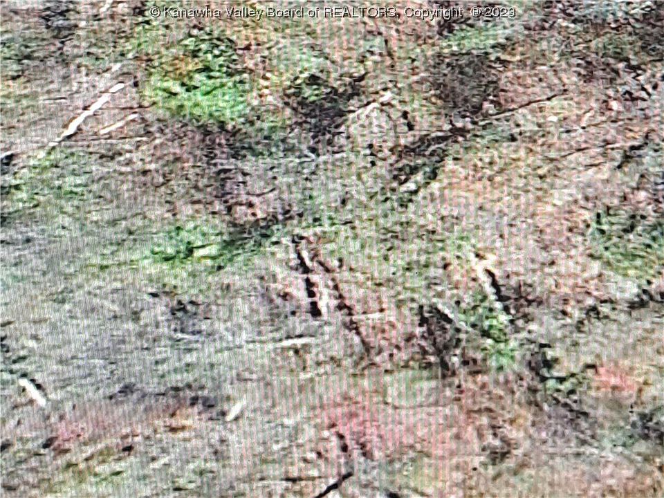 2nd image of 3612 Lick Branch Rd
