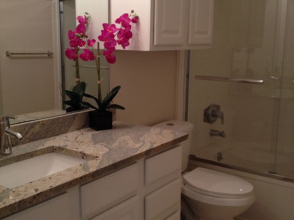5th image of 5000 Culbreath Key Way APT 8110