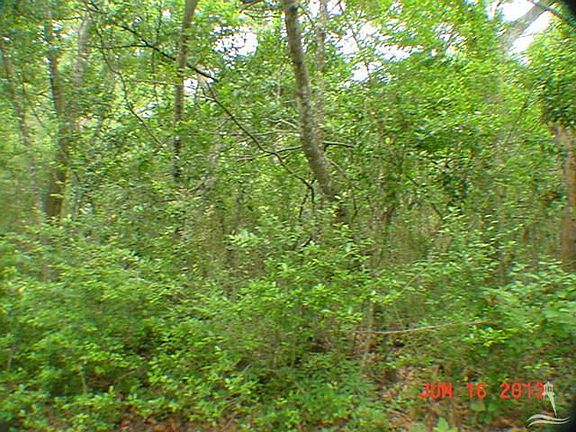 3rd image of 302 Bald Head Wynd N LOT 398