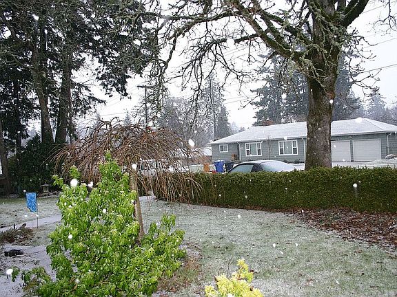 Out our front door