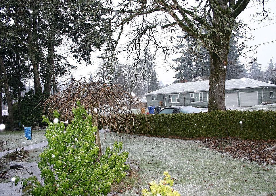Out our front door