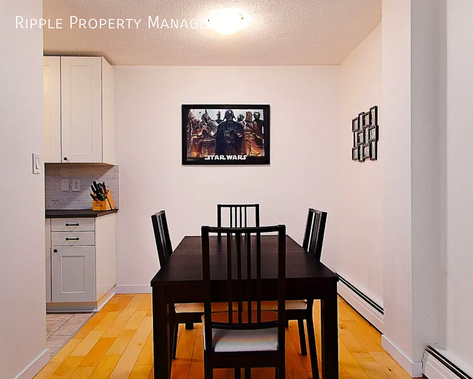 Modern 2 Beds, 1.5 Baths Apartment/Condo | No Pets Allowed — Photo 4