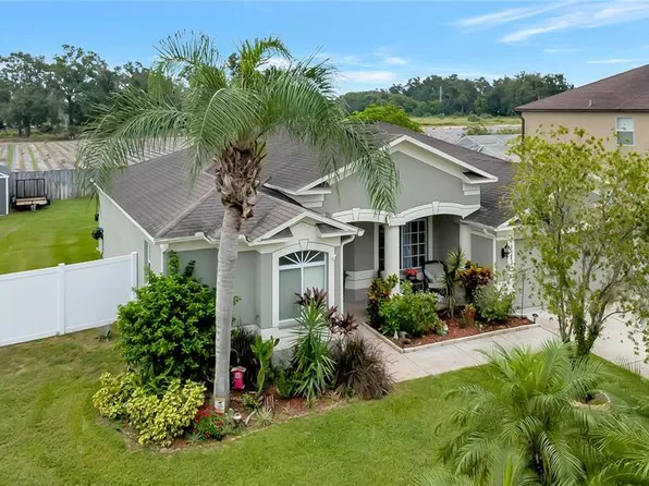 3341 Pine Top Dr, Valrico, FL 33594