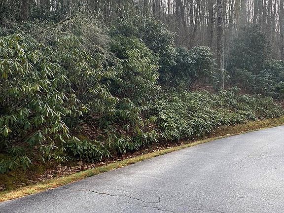 3rd image of LOT E154 High Mountain Dr