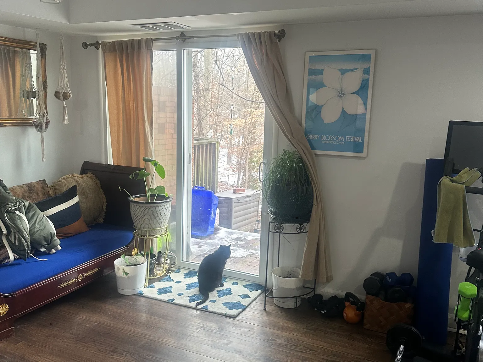2 bed, 1200 sqft, $800 — Photo 3