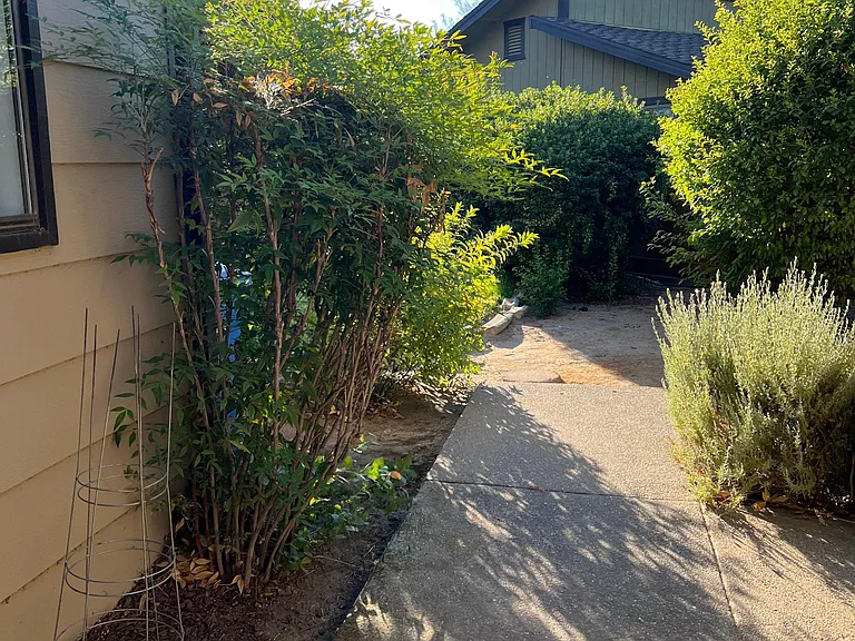 Shadowview Ct — Photo 6
