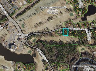 134 Red Berry Dr, Wallace, NC 28466
