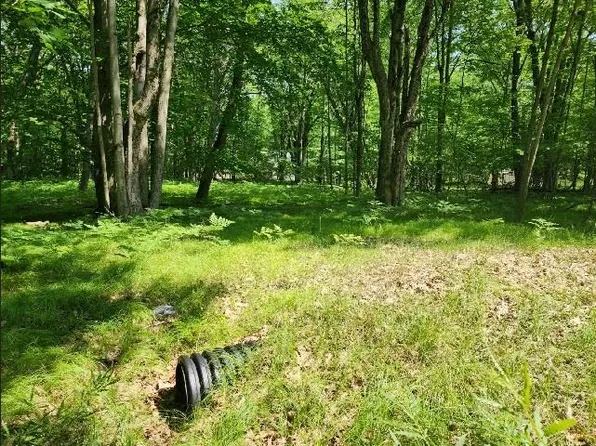 LOT 346 Elm Run, Farwell, MI 48622